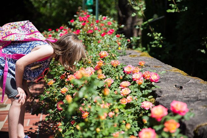 portland-hop-on-hop-off-pink-trolley-tour-with-gray-line-1-or-2-day-pass-2