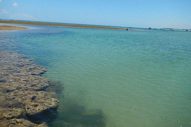 praia-do-forte-guarajuba-beach-day-trip