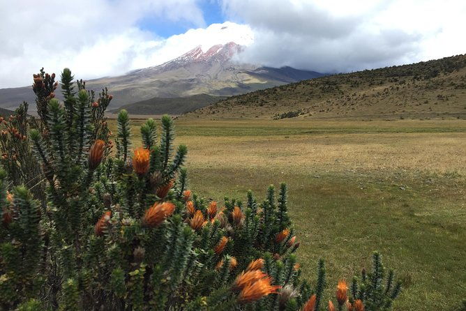 premium-cotopaxi-full-day-tour