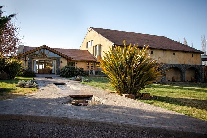 premium-lujan-de-cuyo-wine-tasting-tour-in-a-small-group