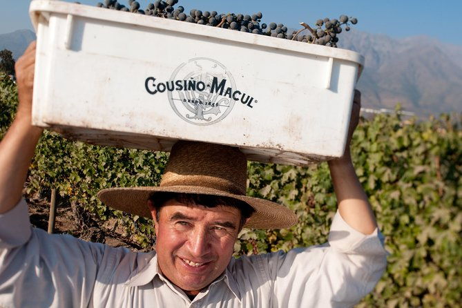 premium-wine-tour-in-vina-cousino-macul-spanish-official