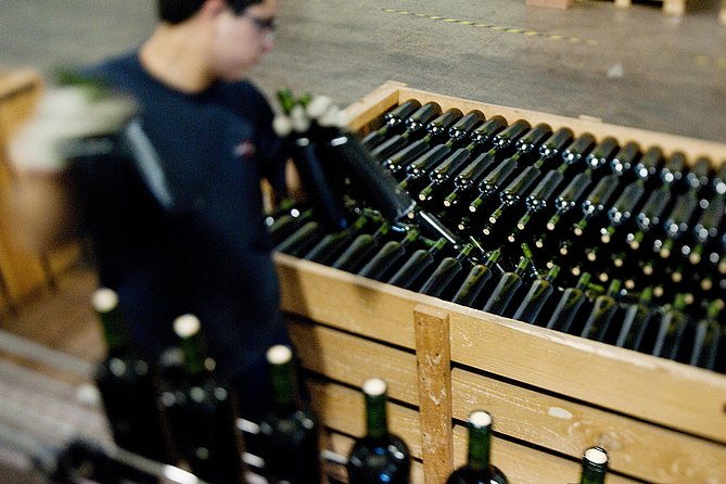 premium-wine-tour-vina-cousino-macul-official-portuguese