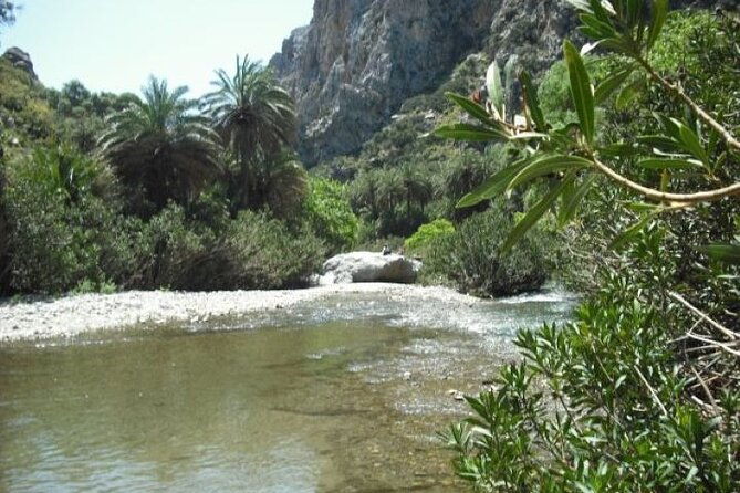 preveli-palm-beach-tour-from-rethymno-by-private-boat