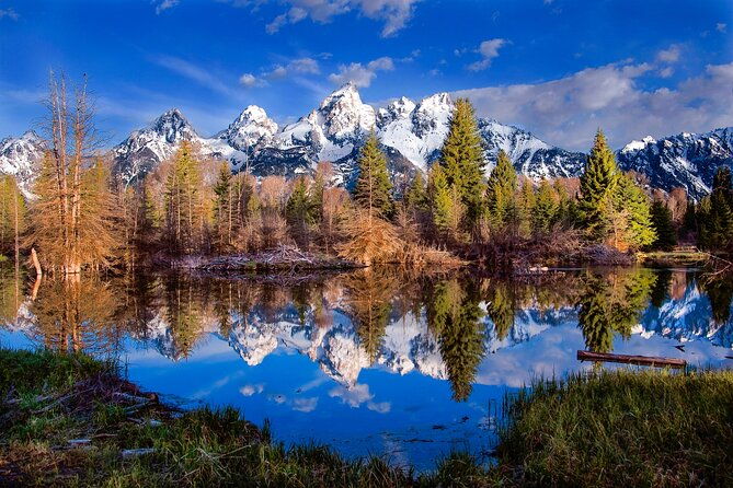 private-2-day-yellowstone-tour-upper-and-lower-loop