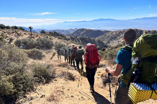 private-36-hour-adventure-in-joshua-tree-national-park