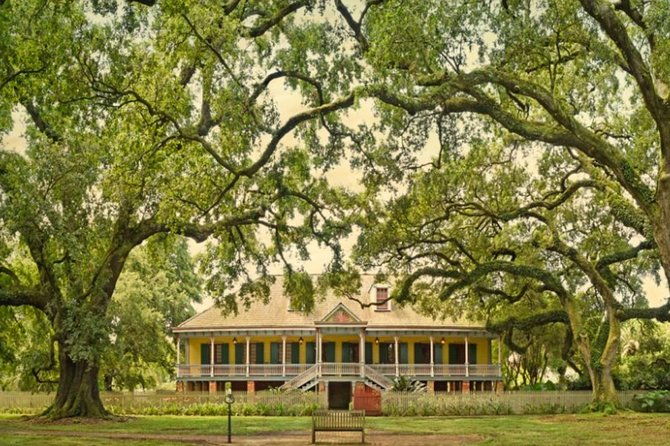 private-airboat-ride-and-plantations-tour-with-gourmet-lunch-from-new-orleans