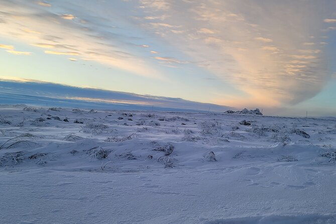 private-arctic-circle-expedition-from-fairbanks
