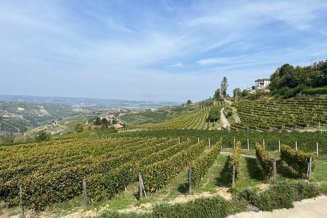 private-barolo-wine-tour-with-winemaker-from-turin