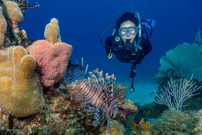 private-bayahibe-3-tank-diving-with-lunch-from-punta-cana