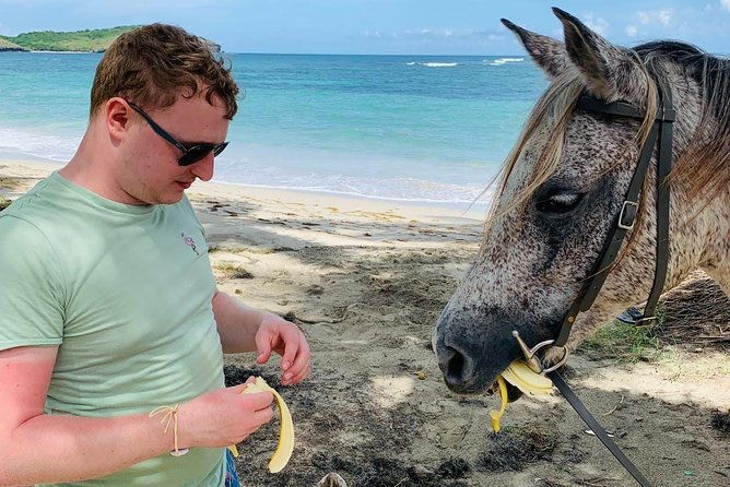 private-beach-horseback-ride-with-sandy-hoofs-st-lucia
