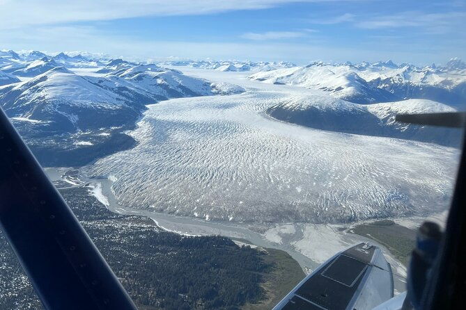 private-bear-viewing-by-seaplane