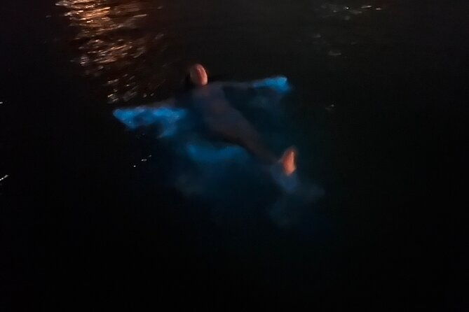 private-bioluminescence-tour