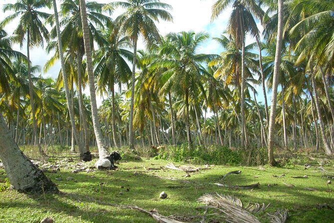private-boat-nature-tour-of-limon-beach-and-lagoon