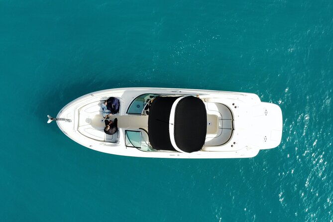 private-boat-rental-sea-ray-295-for-10-people-8-hours-ibiza-formentera