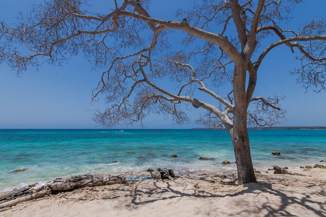 private-boat-tour-of-the-rosario-islands