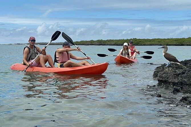 private-charles-darwin-station-tour-tortuga-bay-beach-with-lunch