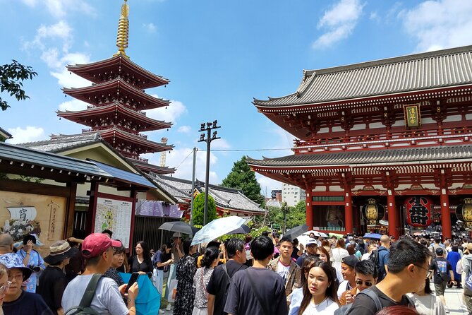 private-chartered-taxi-tokyo-tour-with-certified-japanese-guide