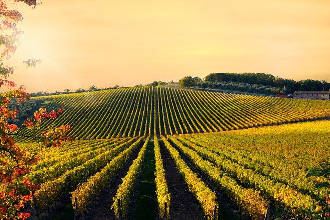 private-chianti-classico-tour-with-wine-and-food-tasting-in-a-historic-estate