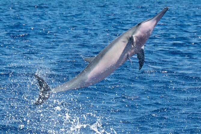 private-custom-charter-in-kawaihae