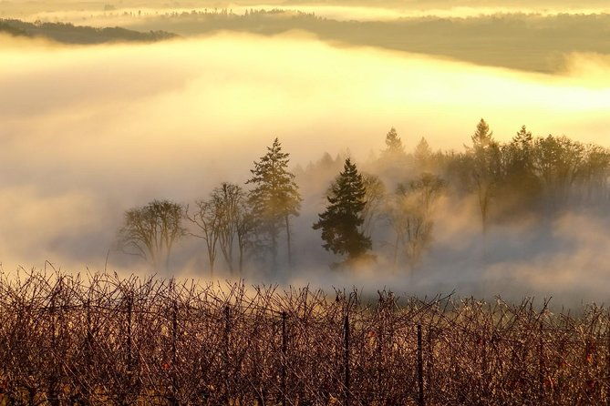 private-customized-willamette-valley-wine-maker-tour-with-lunch