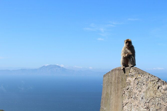 private-day-tour-in-gibraltar-and-tangier-morocco-from-malaga