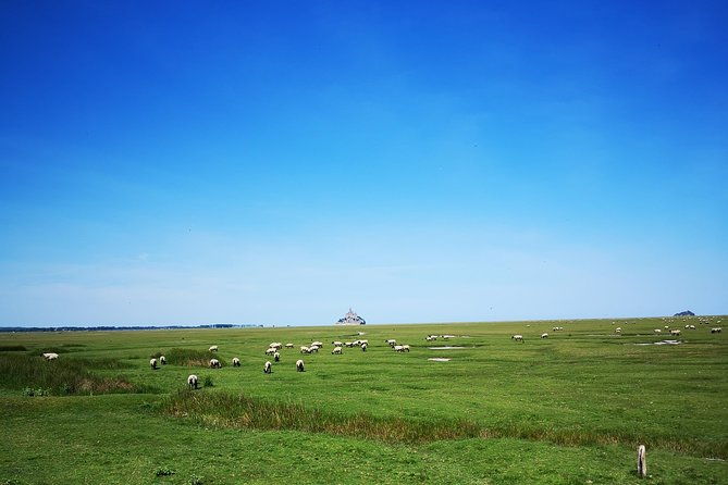 private-day-tour-of-mont-saint-michel-from-caen