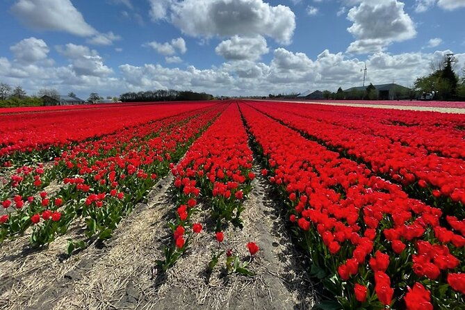 private-day-tour-to-keukenhof-gardens-from-amsterdam-rotterdam