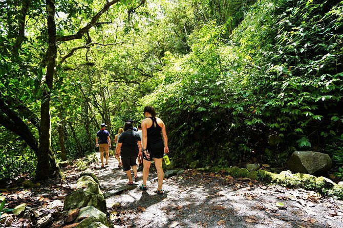 private-day-tour-to-mindo-waterfalls-hummingbirds