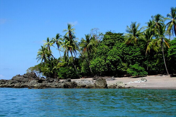 private-day-trip-from-san-jose-to-cahuita-national-park-caribbean-coast