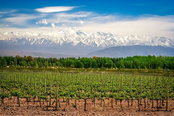 private-day-trip-mendoza-wineries-opt-airfare-from-buenos-aires