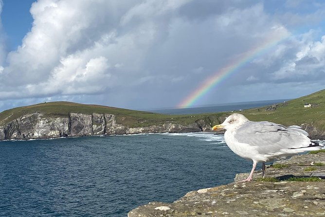 private-dingle-and-slea-head