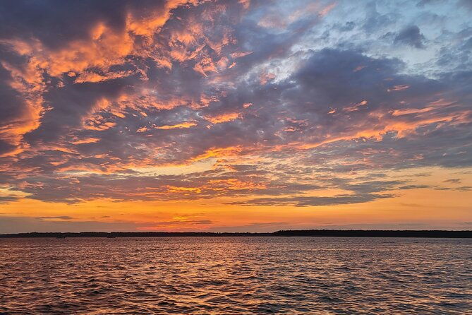 private-dolphin-boat-tour-in-hilton-head-island-2