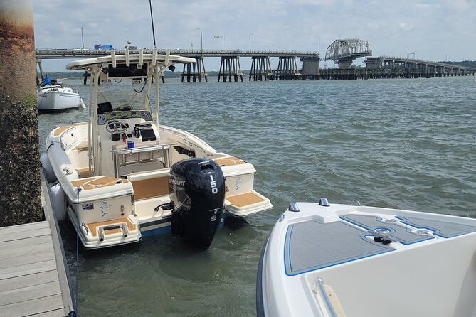 private-dolphin-boat-tour-in-hilton-head-island