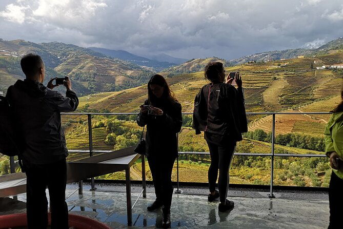 private-douro-valley-wine-tour-lunch-and-boat-cruise