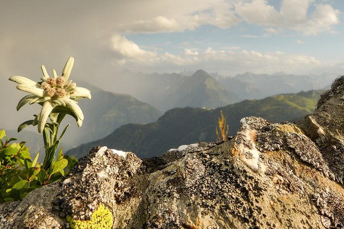 private-eagles-nest-the-hills-are-alive