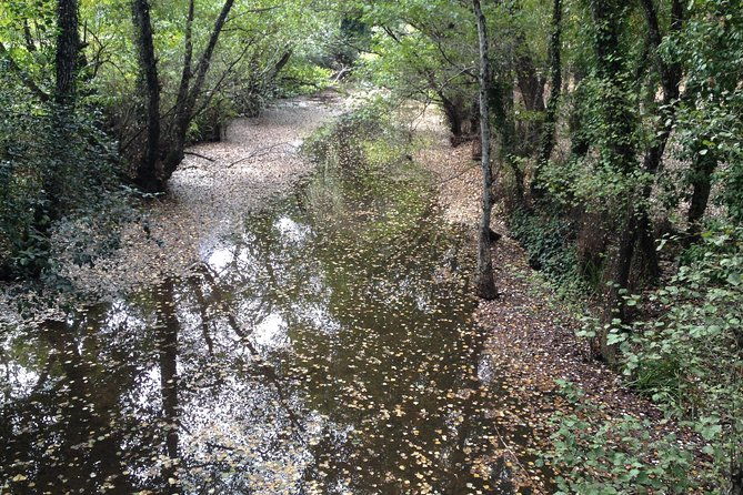 private-ebike-full-day-excursion-to-sierra-norte-natural-park