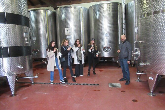 private-emilian-food-and-wine-tasting-tour-in-modena