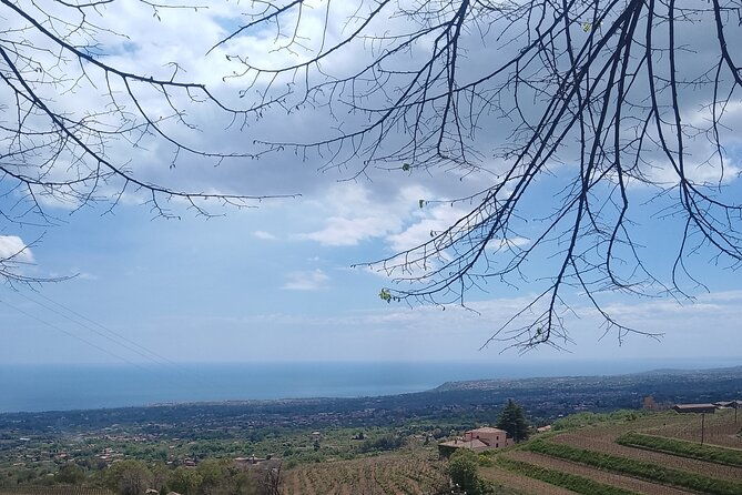 private-etna-tour-with-wine-tasting-and-lunch-2