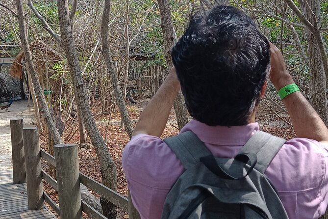 private-experience-at-the-national-aviary-of-colombia