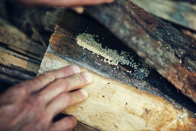 private-experience-in-wildlife-survival-school-in-bulgaria-3