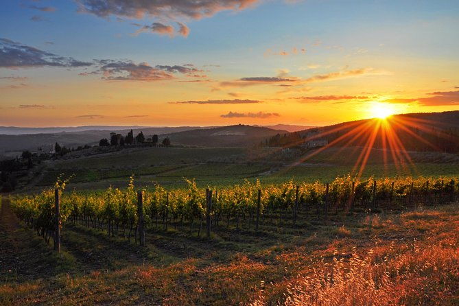 private-florence-and-chianti-wine-countryside-from-pisa-including-wine-taste