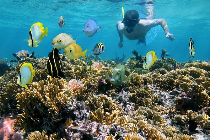 private-full-day-bvi-boat-charter-aboard-mv-aquarius