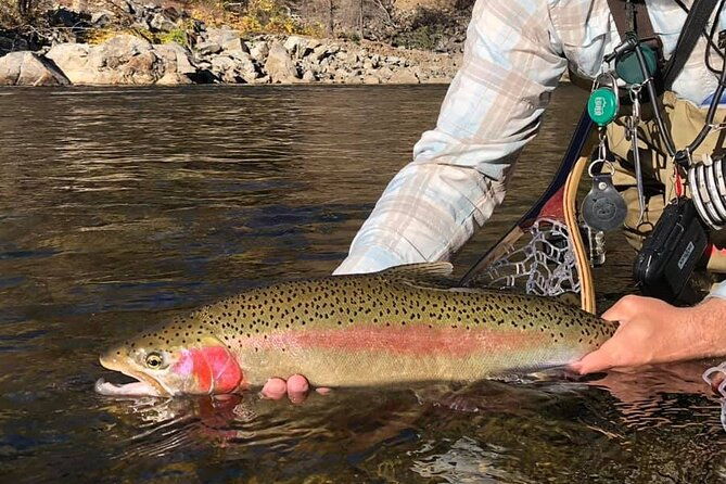 private-full-day-fly-fishing-for-beginners-and-experienced-anglers-2