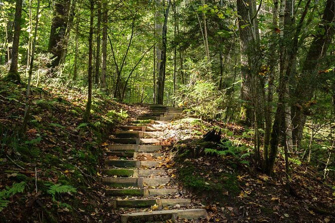 private-full-day-hiking-tour-in-sigulda-and-gauja-national-park