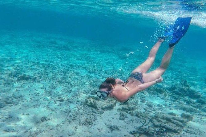 private-full-day-sail-snorkel-experience-usvi-sapphire-marina-stt-pick-up