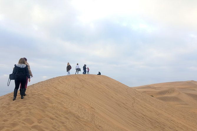 private-full-day-tour-to-concon-vina-del-mar-and-valparaiso-1-activity
