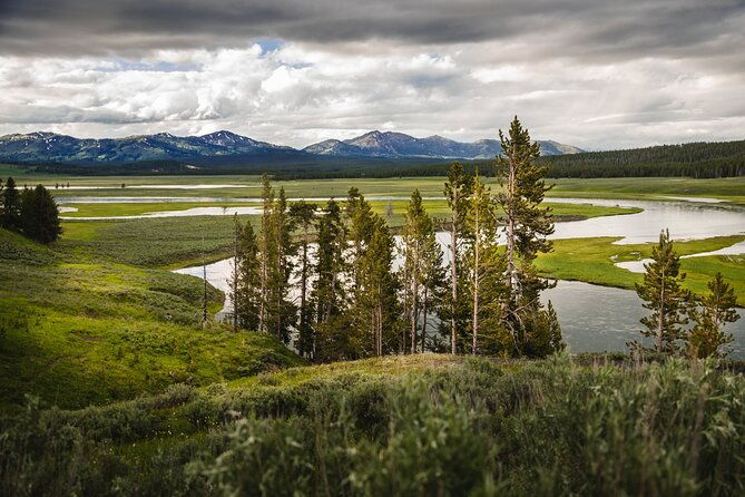 private-full-day-yellowstone-national-park-tour