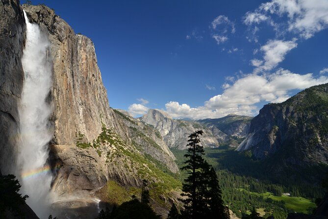 private-giant-sequoia-grove-hike