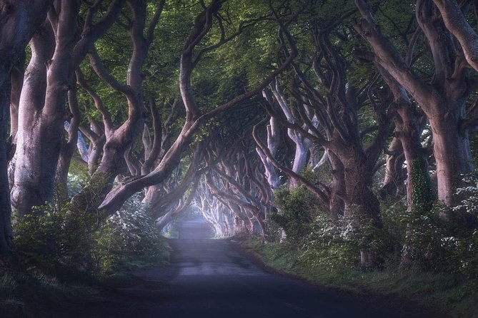 private-giants-causeway-express-tour-from-belfast