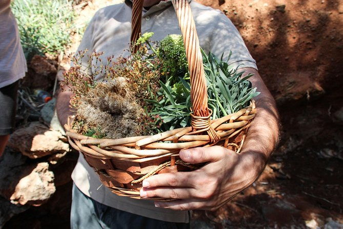 private-greek-cooking-class-and-foraging-experience-in-syros